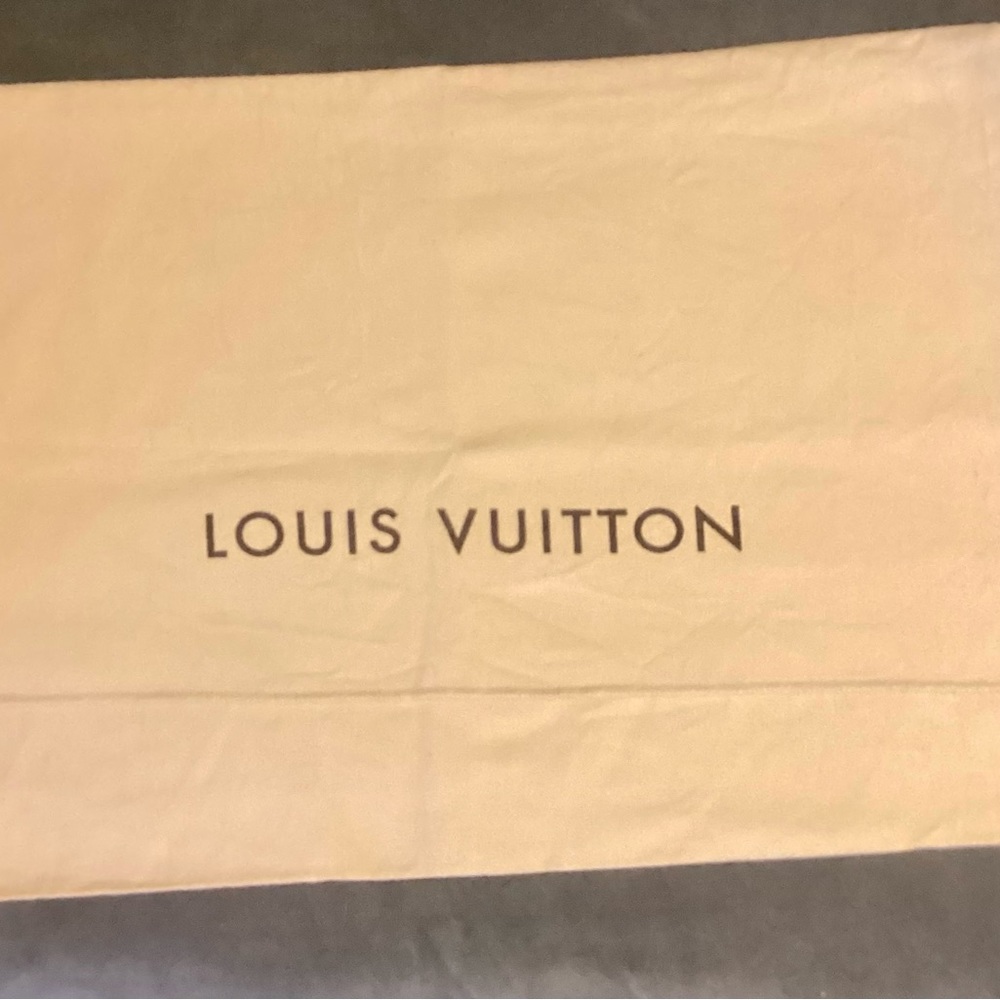 Medium LV Dustbag.